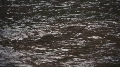 flowing river water on a cold fall day 1080p