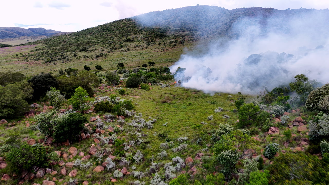 Wind push against head of wildfire spreading along game reserve terrain, drone