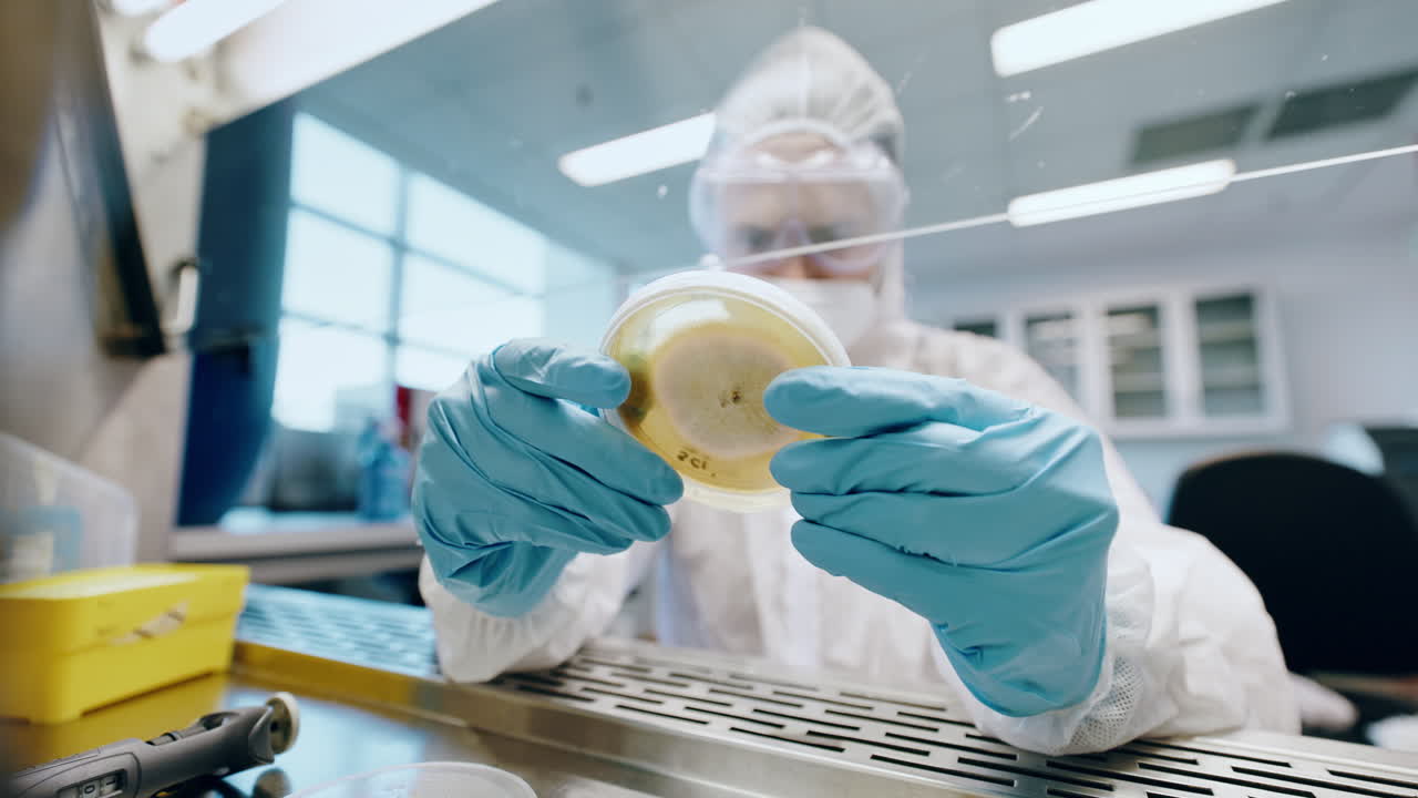 ciencia, ppe y persona con placa de petri