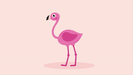 little and cute flamingo animation