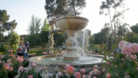 romantic couple enjoying the fountain in la rosaleda, madrid. beautiful and serene garden scene.