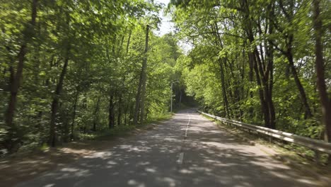 cozy car driving through the forest in eastern europe