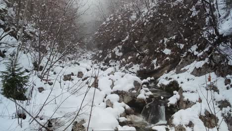 beautiful winter day in bohinj and the triglav national park