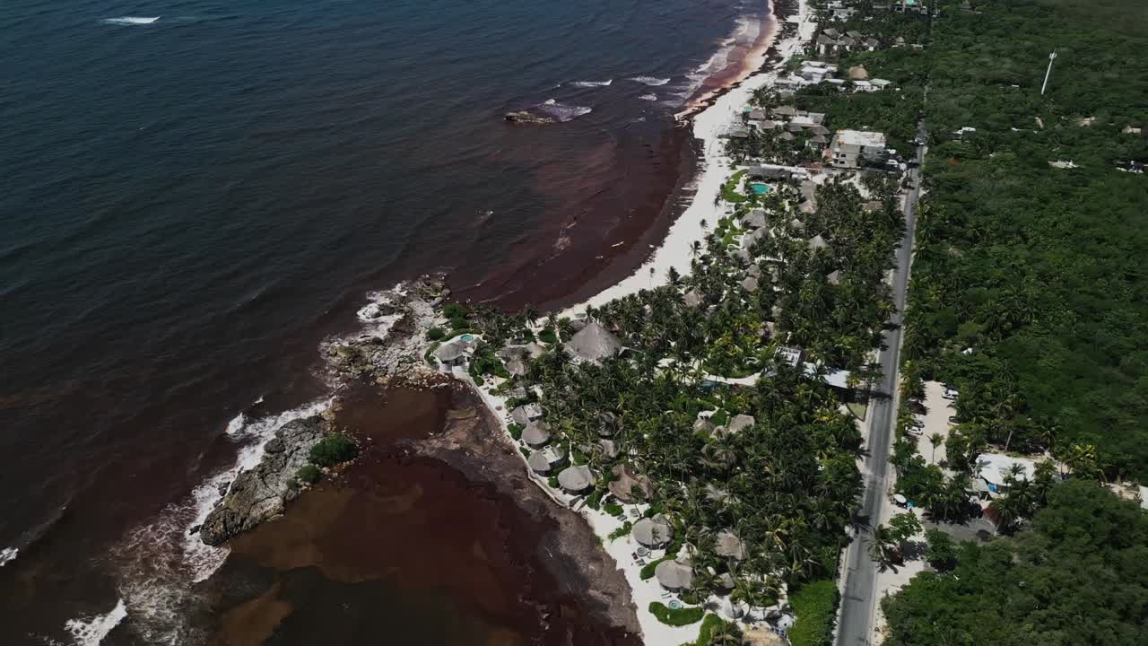 Drone view of coastline in Tulum, Mexico, showing heavy sargassum seaweed, beach resorts, tropical jungle, rural road and waves breaking along the Caribbean shoreline