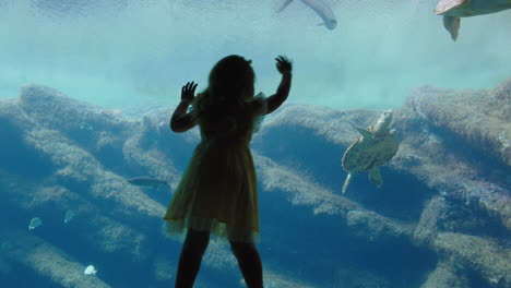 little girl in aquarium looking at fish swimming in tank happy child watching beautiful marine animals in oceanarium having fun learning about sea life in aquatic habitat