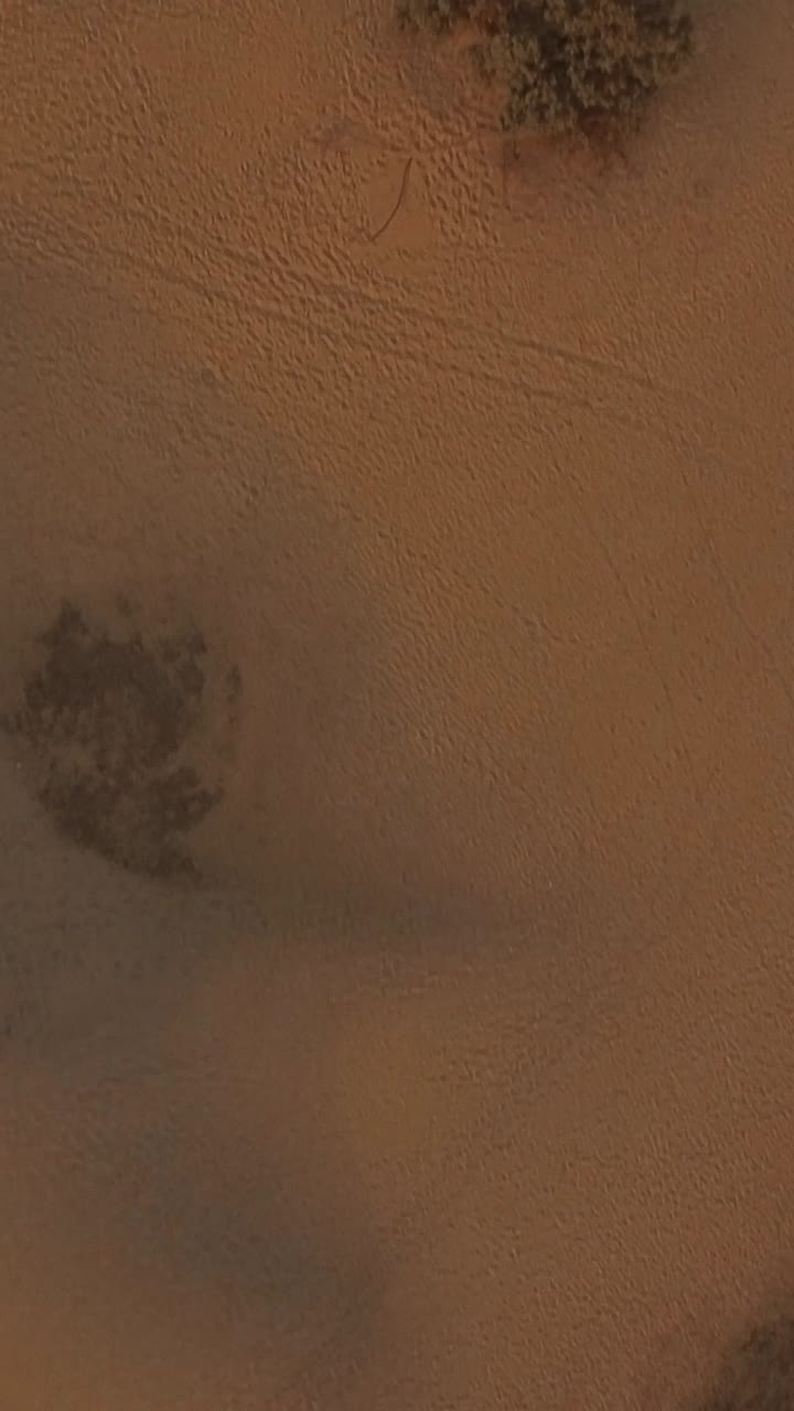 Vista aerea dall'alto di un paesaggio desertico arido con vegetazione rada