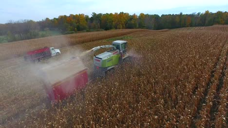 4k-Mähdrescher-Luftaufnahme-Maisfeld-Landwirtschaft-Lebensmittel-Mais-Etabliert-Herbst