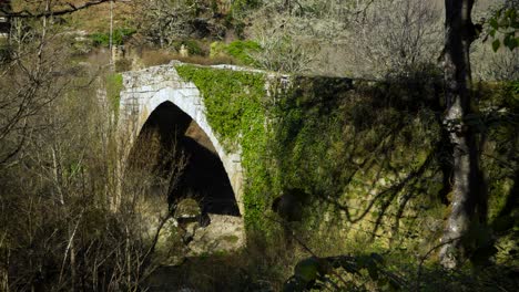 moss and vine covered old roman bridge across navea river in ourense spain