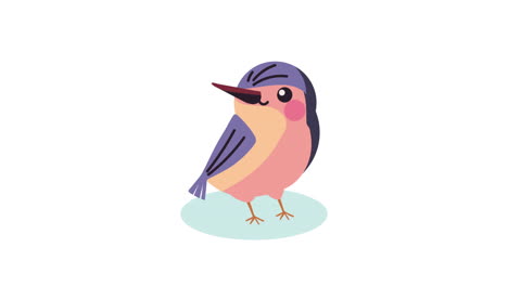 cute cartoon bird illustration