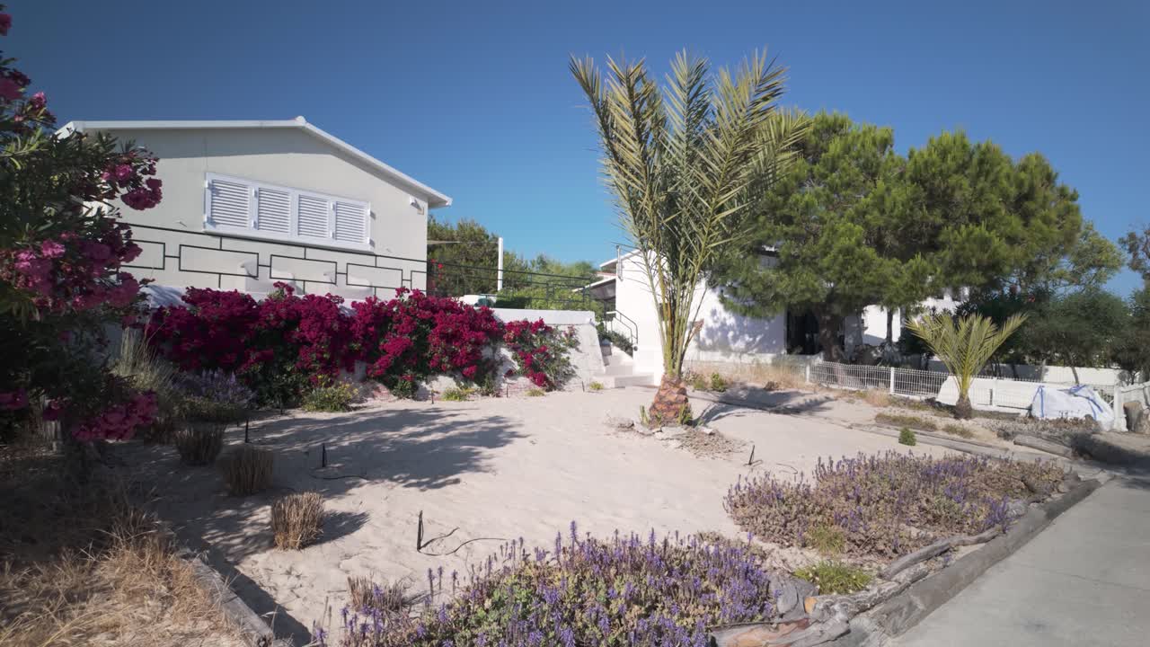 Vibrant garden with colorful flowers, palm trees, and white house in Olhão, Portugal