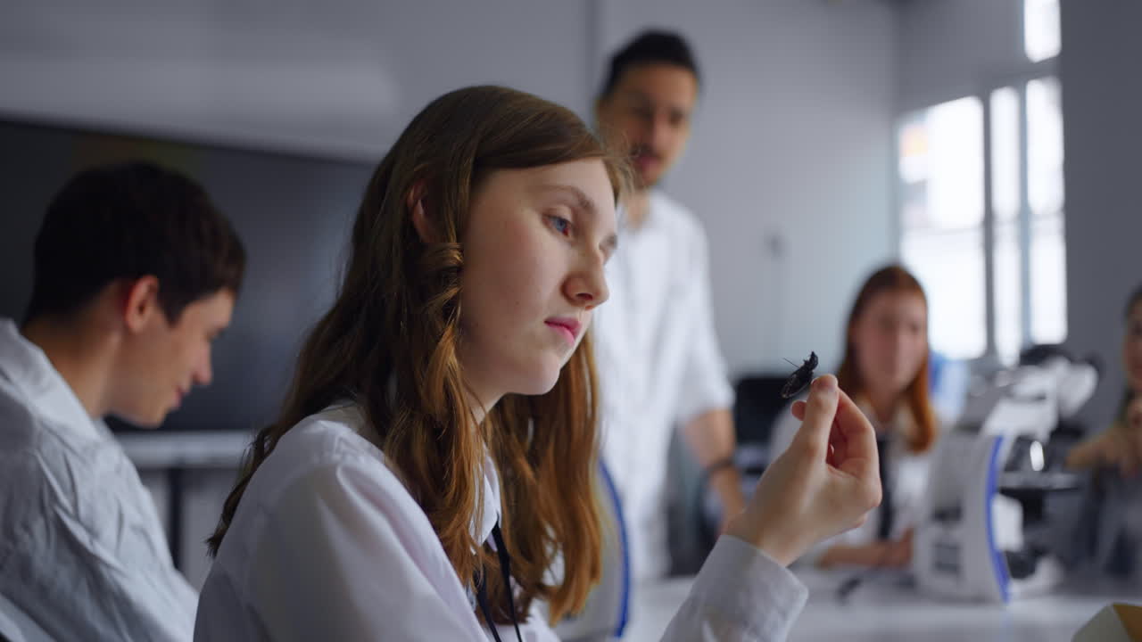 과학 교실에서 학생들이 현미경으로 곤충을 조사하고 있습니다.