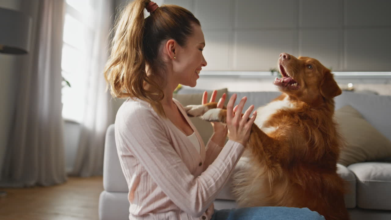 Woman having fun dog spending time together at home close up. Girl caressing pet