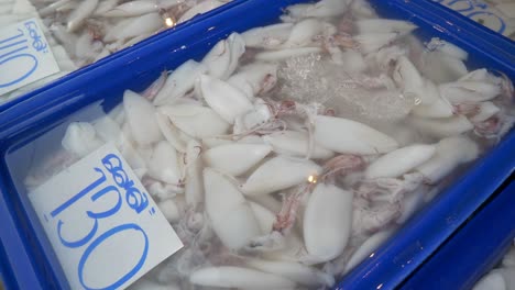 skinned squid in water bucket for sale in thailand fish market