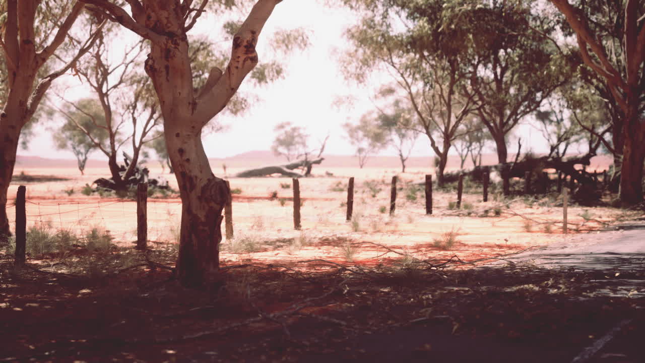 paisaje del desierto australiano