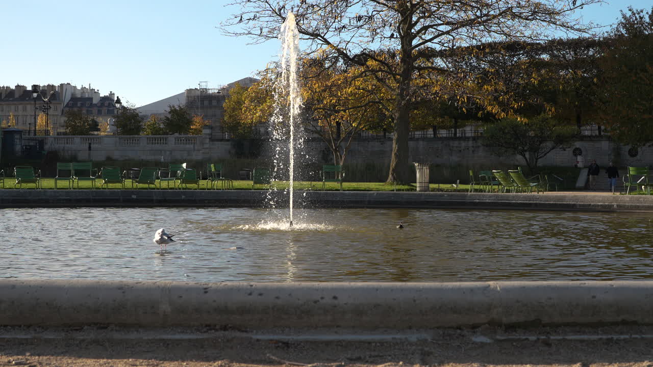 Peaceful autumn scene at the Tuileries Garden in Paris with a fountain, pond, and green chairs under warm sunlight. A seagull and a duck move gently on the water creating a serene Parisian atmosphere
