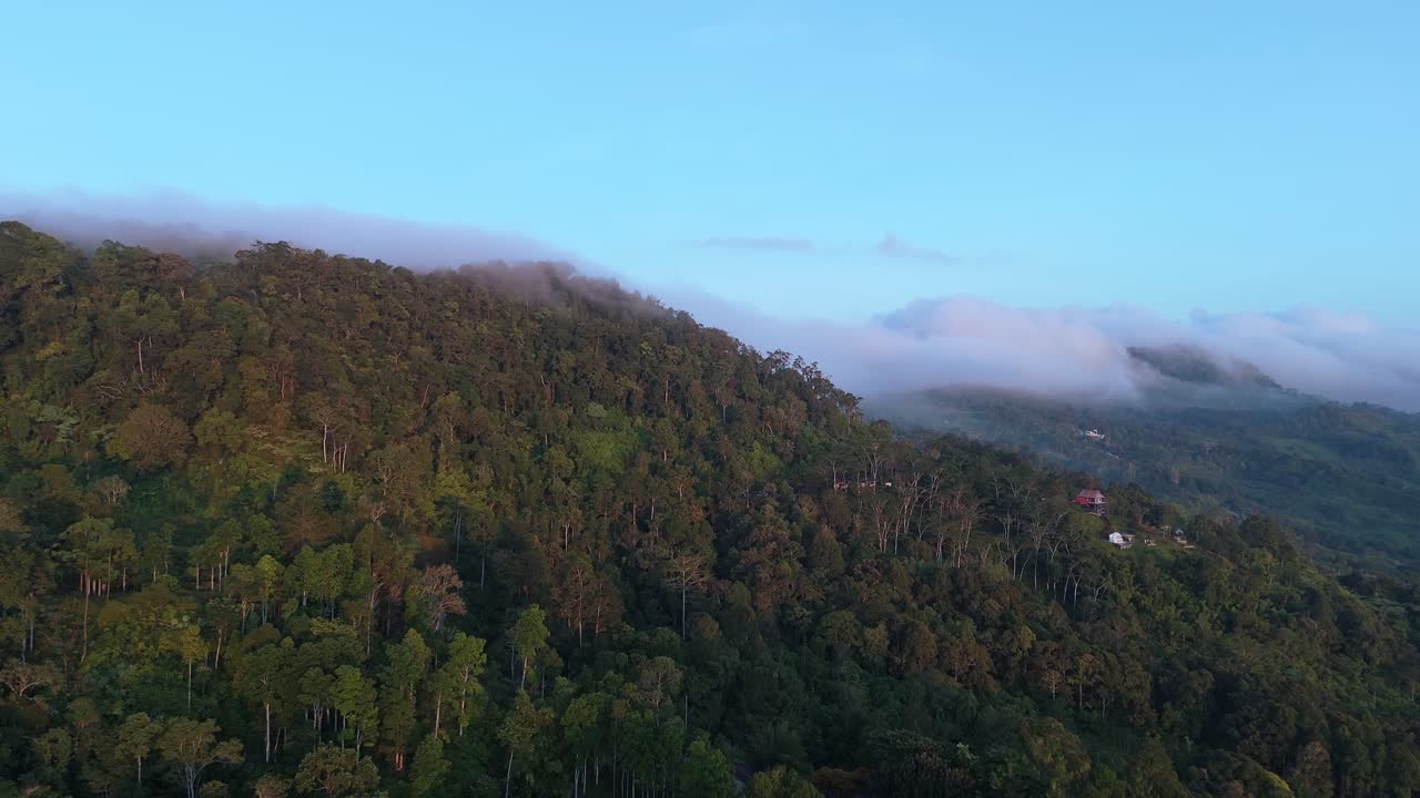 Ripresa aerea mozzafiato di nebbia che si estende su una lussureggiante foresta montana verde all'alba. Perfetta per progetti di viaggio, natura e cinematografici