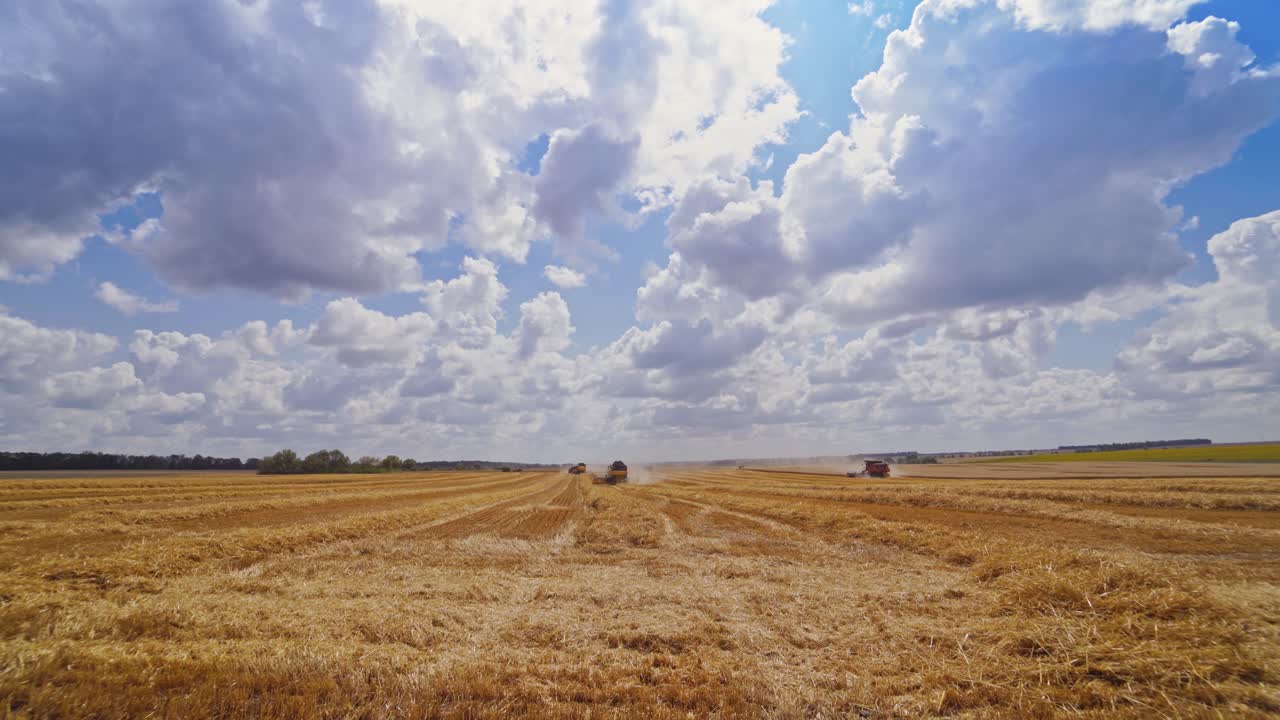 Ripe wheat field and blue sky with clouds. Heavy machinery gathering ripe wheat. Agricultural concept. Rural landscape. Wheat meadow.