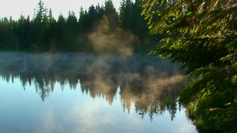 steam rises from trillium lake which is surrounded by pine trees near mt hood in oregon