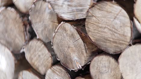 stacks of lumber together. wood storage. firewood cut tree trunk logs stacked prepared. circular motion of the camera