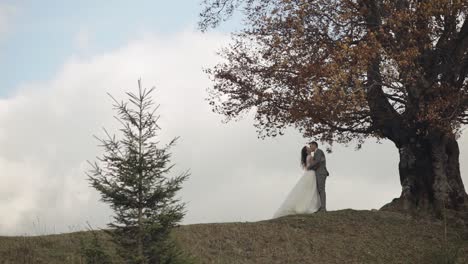 lovely young newlyweds bride and groom embracing, making a kiss on mountain slope, wedding couple