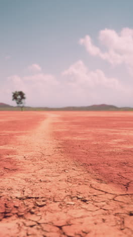 camino solitario a través de un desierto rojo