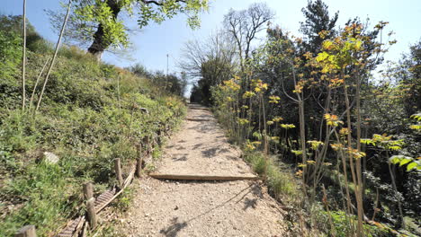 footpath in the forest south of france sunny spring day