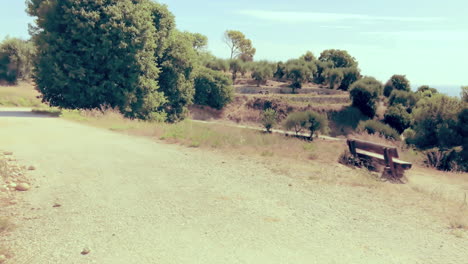 vacaciones en nizza