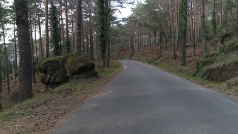 Camino-Forestal-En-El-Parque-Natural