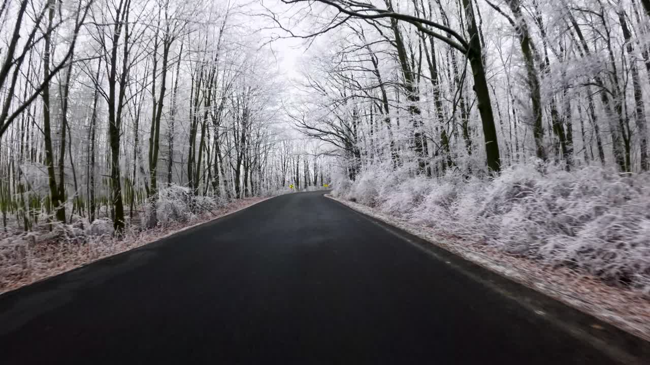 POV from a car riding through a forest in winter with trees covered in hoarfrost