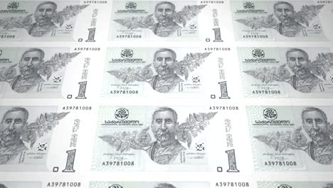 banknotes of one georgian lari of the republic of georgia, cash money, loop