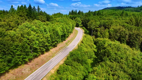 road on the slope of the mountain covered with the lush woods. cars go by the highway in the tatras