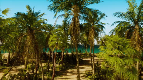 a group of palm trees on a sandy beach