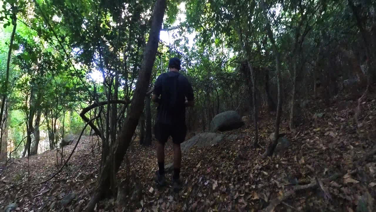 A male hiker is walking along the trail in a wild forest. Rich greenery is above him with visible sun rays touching the leaves