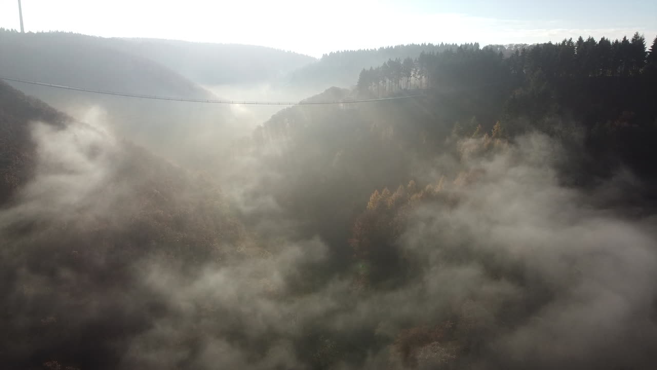 자연의 안개가 자욱한 일출