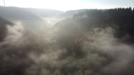 foggy sunrise in the nature