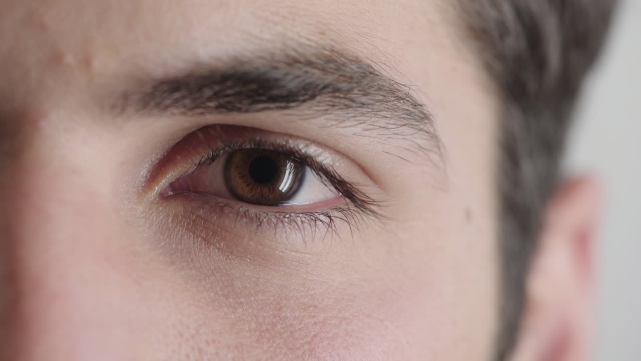 가까이 가서 젊은 남자의 눈을 둘러보며 눈을  ⁇ 박이는 사려 깊은 성찰적인 광학적 감정