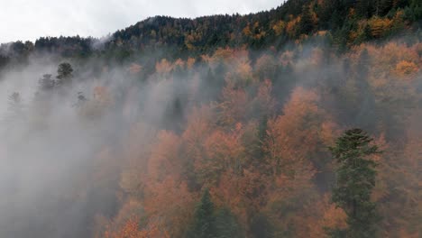 aerial view over vibrant automnal mountain forest above clouds, 4k