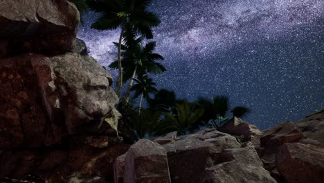 rutas estelares de hiperlapso de 4k sobre paredes y palmeras de cañones de piedra arenisca