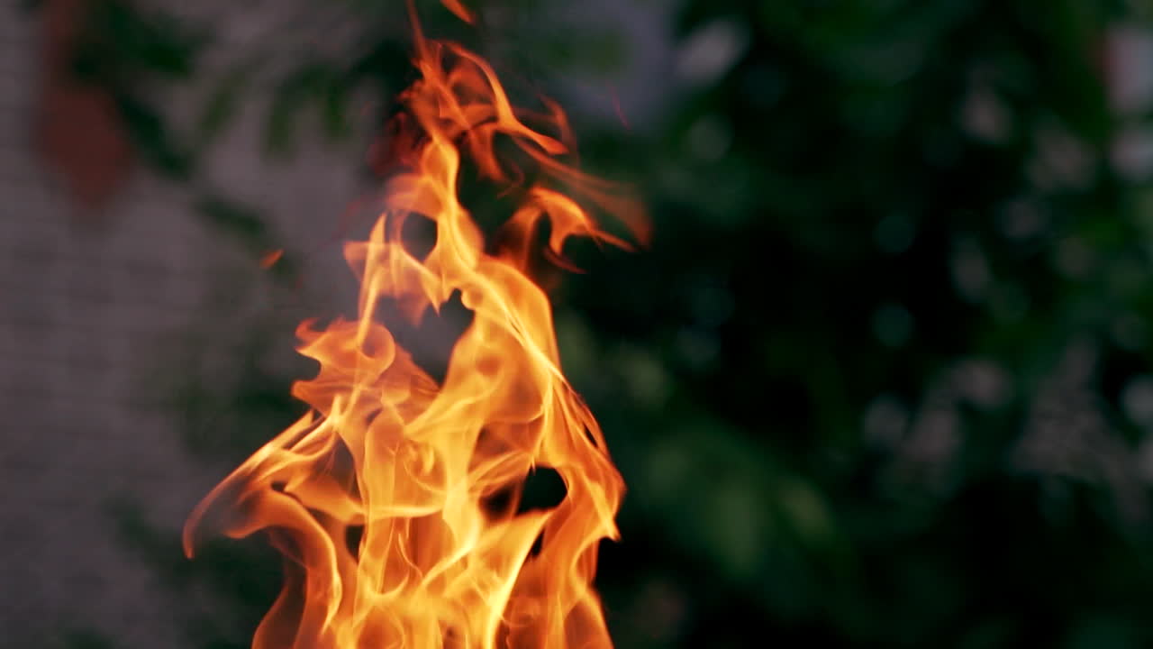 Campfire flames. Fire on the forest. Tree branches burning. Slow motion