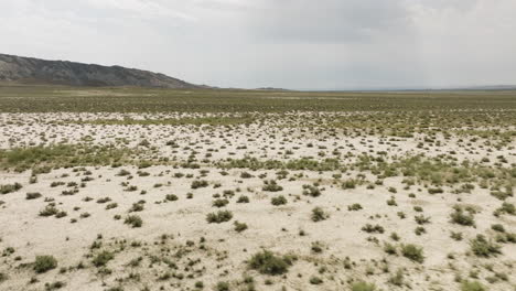 Arid-steppe-with-bush-turfs-and-mountains-beyond,-Vashlovani,-Georgia