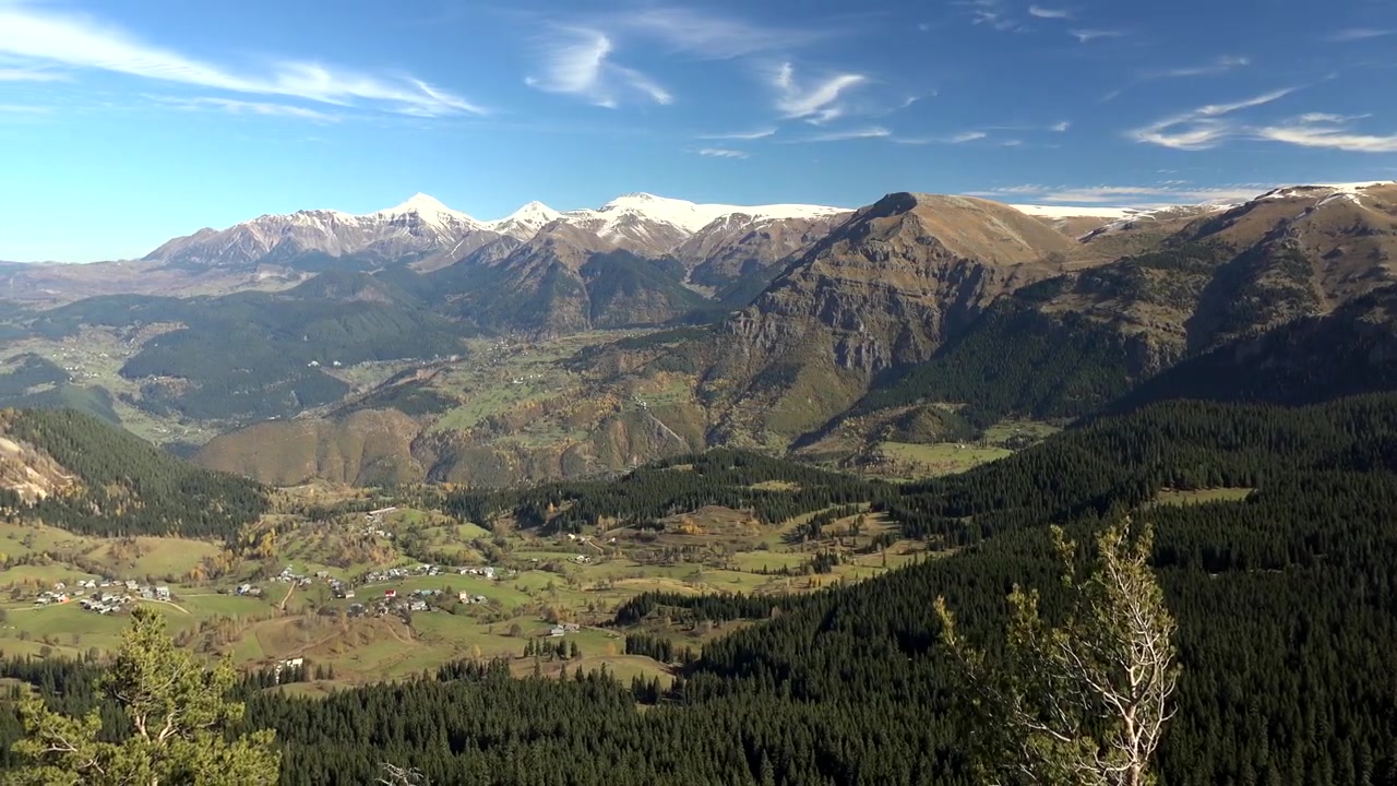 Vista panoramica di una valle di montagna con pineta e cime innevate