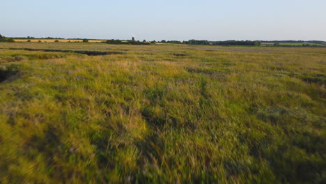 disparo de drones aéreos muy bajos volando sobre marismas verdes con molino de viento en segundo plano al atardecer en north norfolk, reino unido
