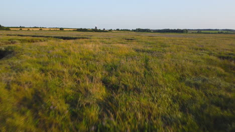 very low aerial drone shot flying over green salt marsh with windmill in background at sunsetin north norfolk uk