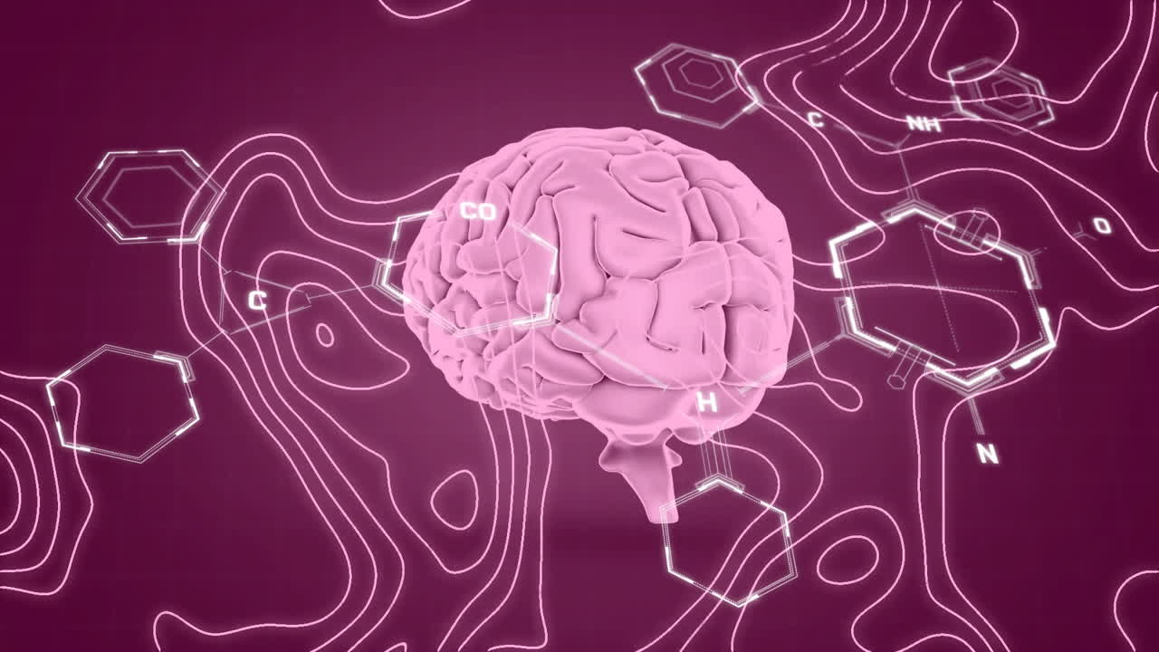 인간 뇌의 애니메이션과 과학 데이터 처리