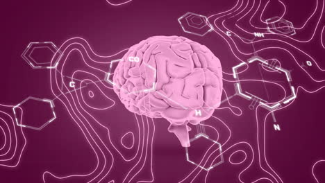 Animation-of-human-brain-and-scientific-data-processing