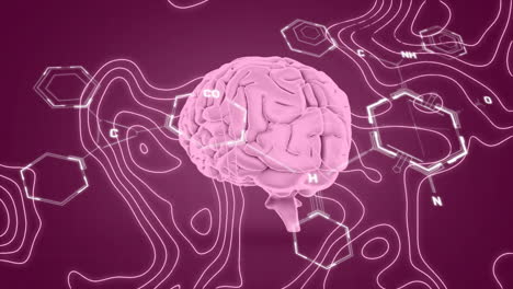 animación del cerebro humano y procesamiento de datos científicos.