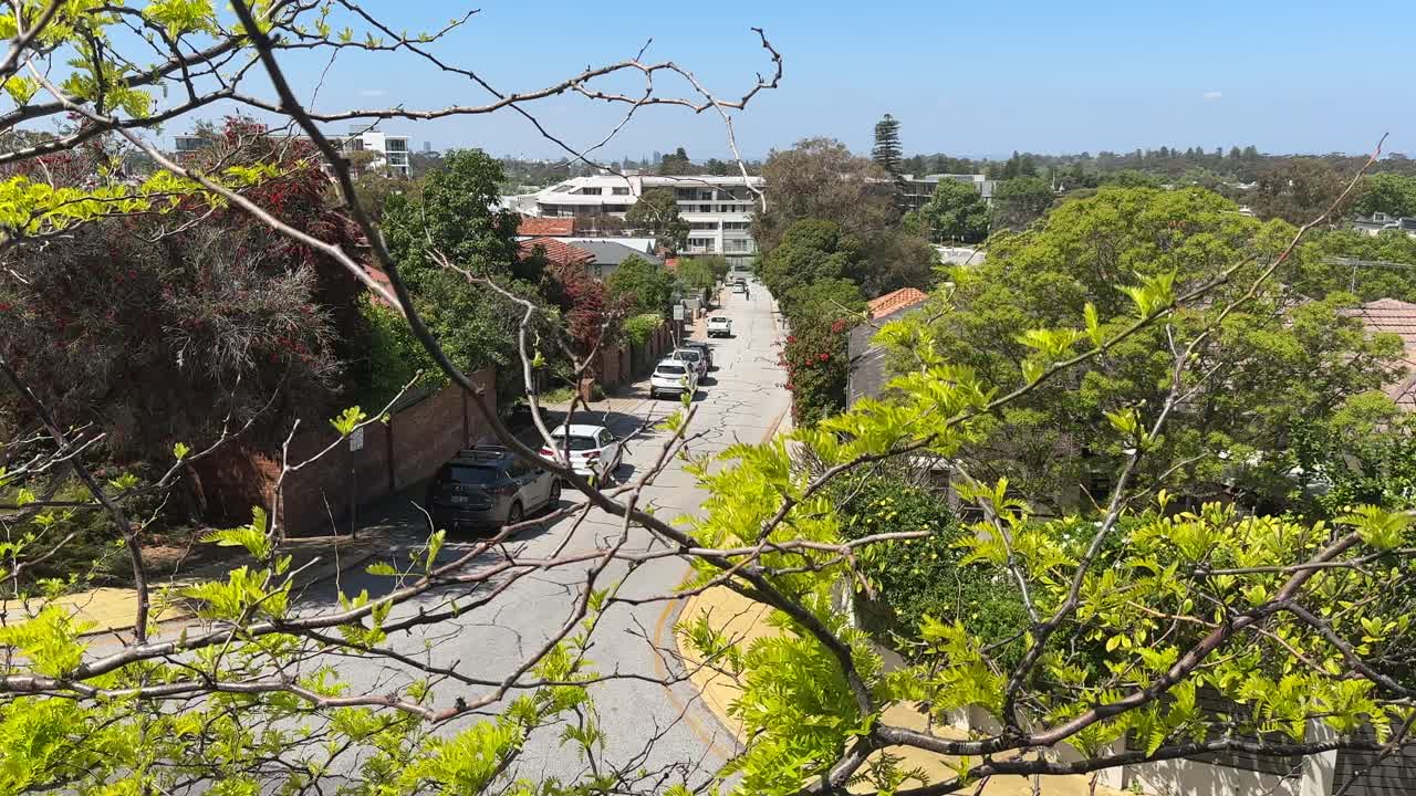 Claremont leafy suburb street high view expensive area - street thru trees