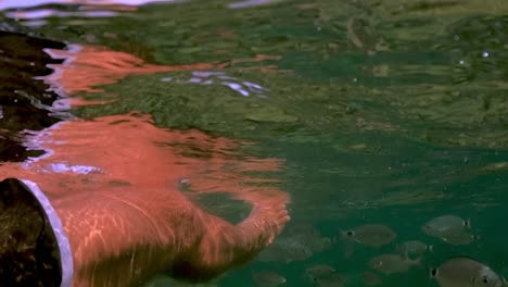 punto de vista en primera persona de las piernas y los pies del hombre relajándose mientras flota en el agua del mar con peces nadando bajo el agua
