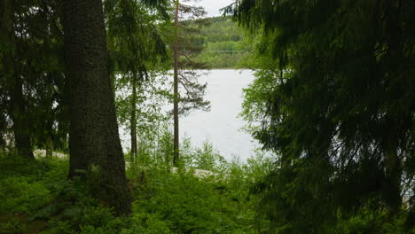 landscape shot of a forest with an opening to the lake called sognsvann in oslo, norway