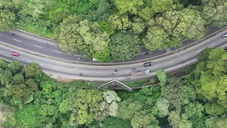 top-down aerial view of a curved street with vehicles driving through the forested area of carretera al salvador, guatemala. timelapse effect, with cars following the winding road. urban traffic.